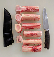 Мозговая косточка европейского благородного оленя