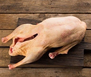 Фото Гусь (дикий) осенний 2022-2023